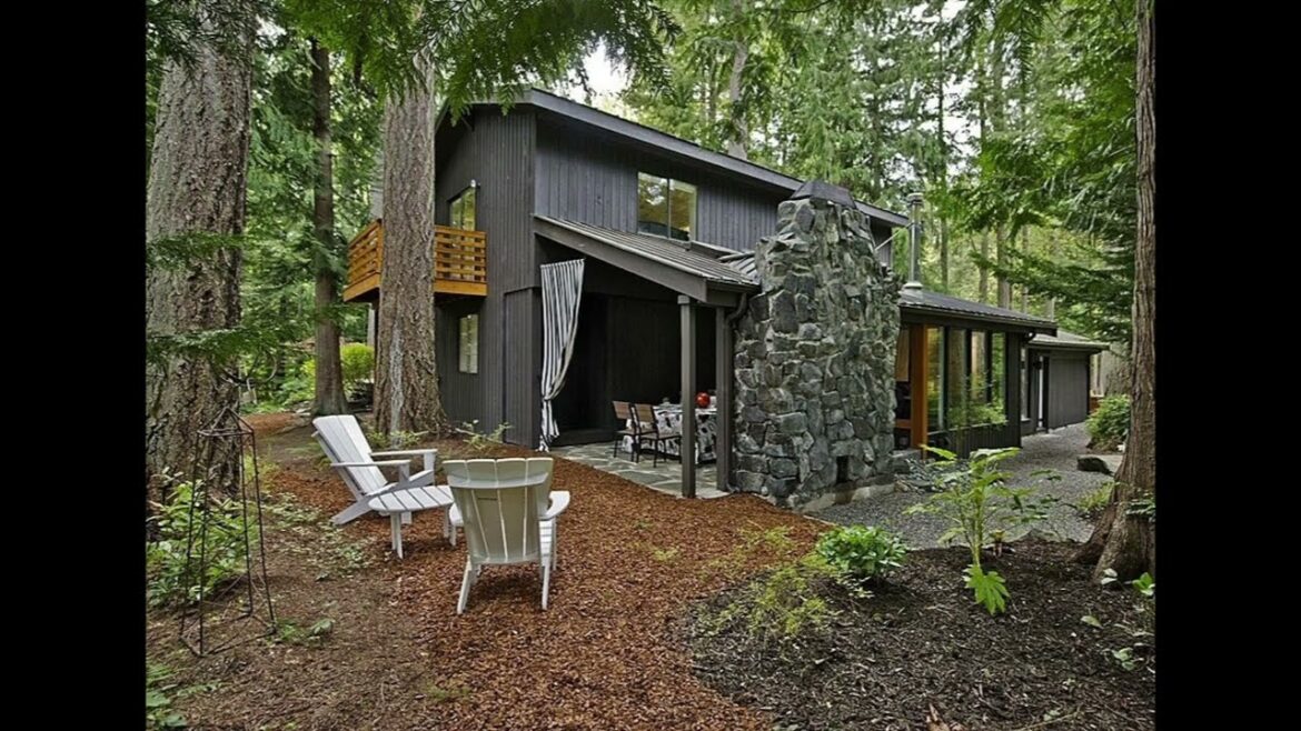 Forest Landscaping ideas