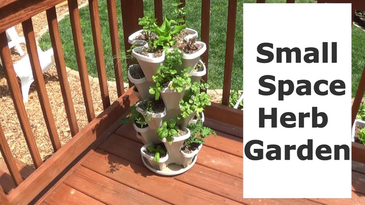 Beautiful Vertical Herb Garden