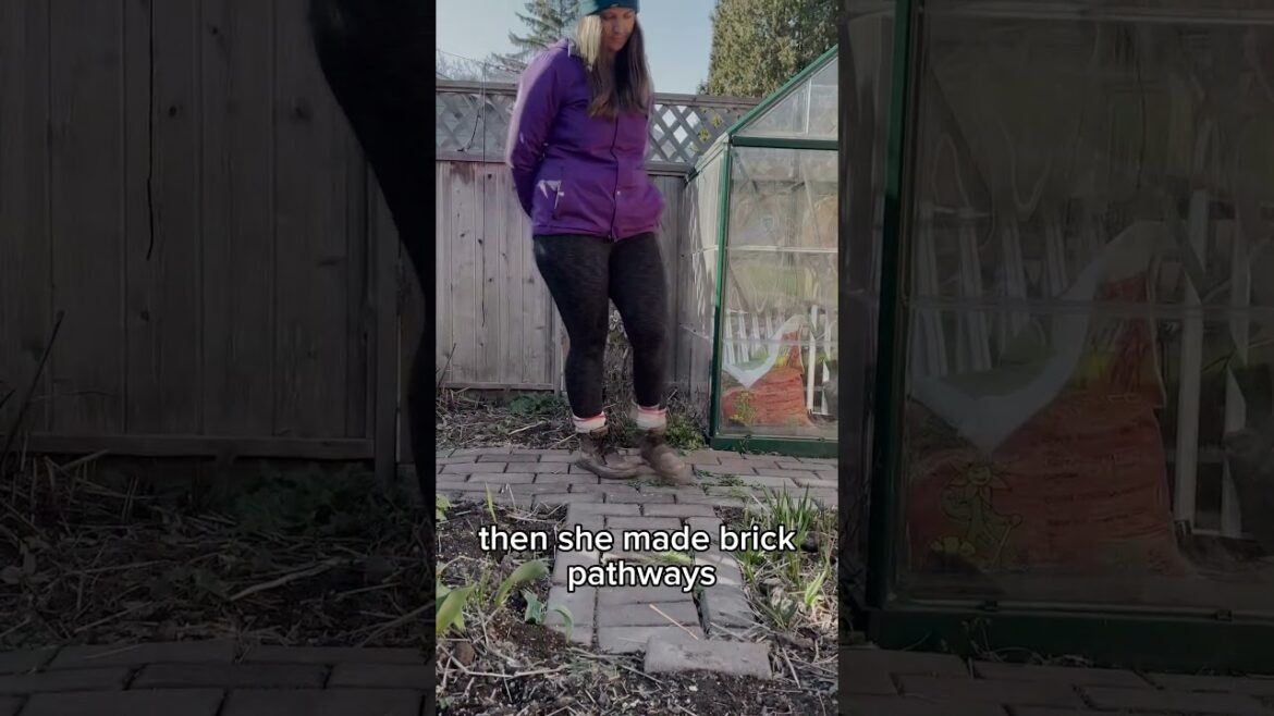 Discover 4 Unique RAISED BED GARDEN ideas Discover 4 Unique RAISED BED GARDEN ideas