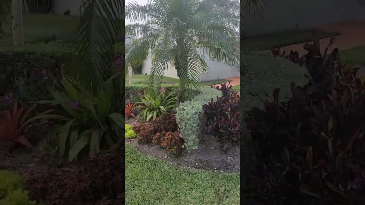 Landscape Design - Front Yards
