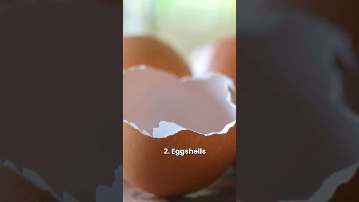 Kitchen Residues and Leftovers That You Can Use in Your Garden #gardening