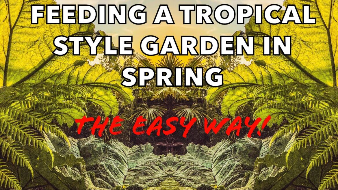 Feeding a Tropical Style Garden in Spring with Slow Release Fertiliser Feeding a Tropical Style Garden in Spring with Slow Release Fertiliser