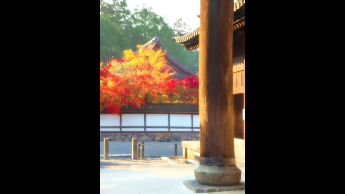 【Japanese Landscape】#shorts #Japan #view #temple #japanese