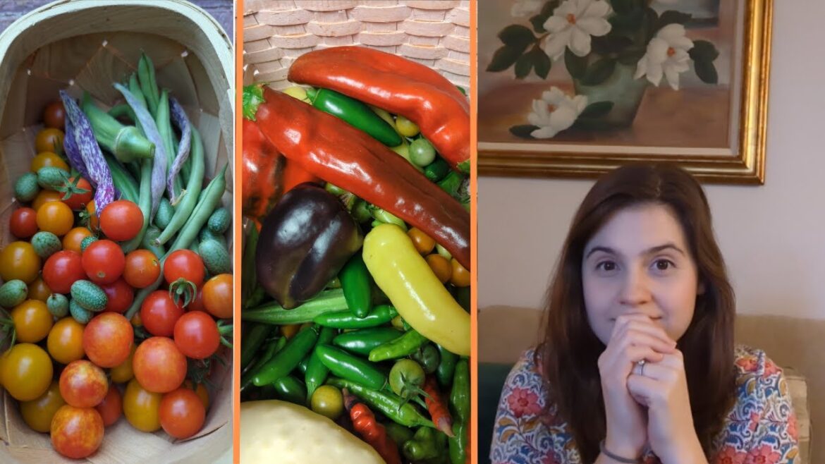 I doubled my backyard garden’s value in 1 year | Veggies, herbs, etc I *doubled* my backyard garden's value in 1 year | Veggies, herbs, etc