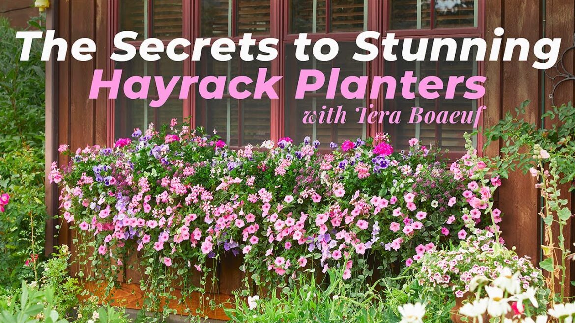 How To Plant Stunning Hayrack Planters How To Plant Stunning Hayrack Planters