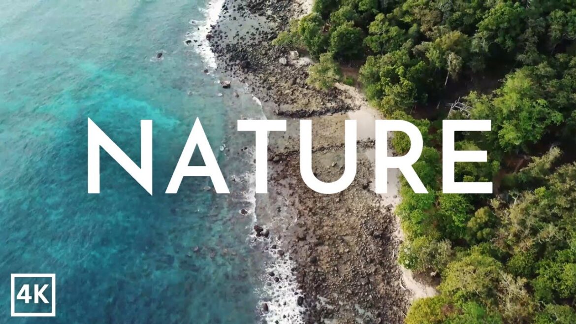 NATURE (4K) | Beautiful Scenery in UHD | FootagePro