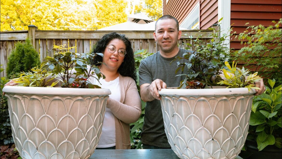 Three Plant Thriller Filler Spiller Container // Garden Obsessions