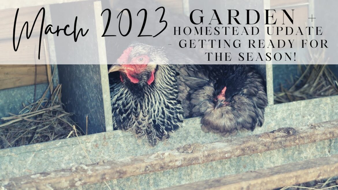 March 2023 Spring Garden/Homestead Update