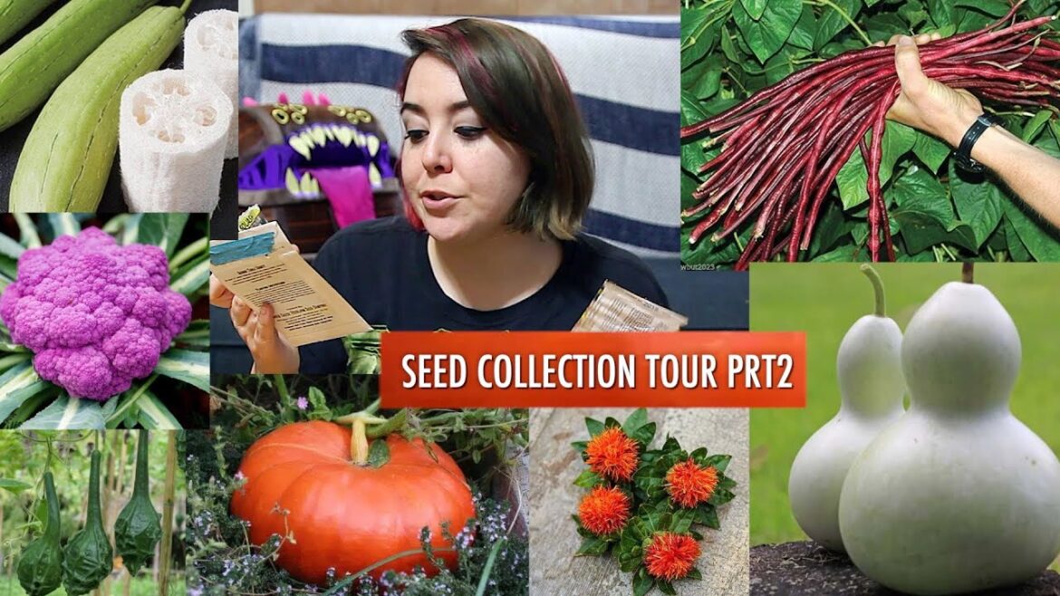 Going through my ENTIRE seed collection [PART 2 of 2]