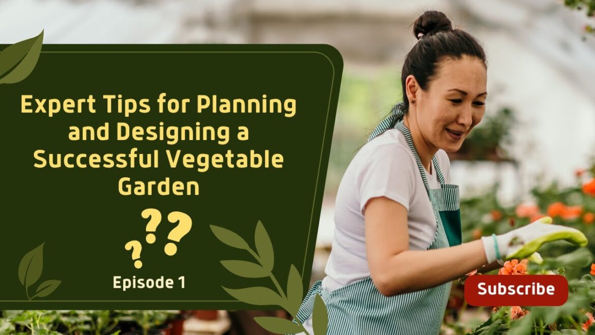 Expert Tips for Planning and Designing a Successful Vegetable Garden Expert Tips for Planning and Designing a Successful Vegetable Garden