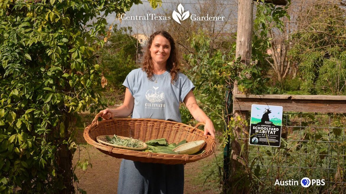 Cultivate Holistic Living with Permaculture Design | Central Texas Gardener