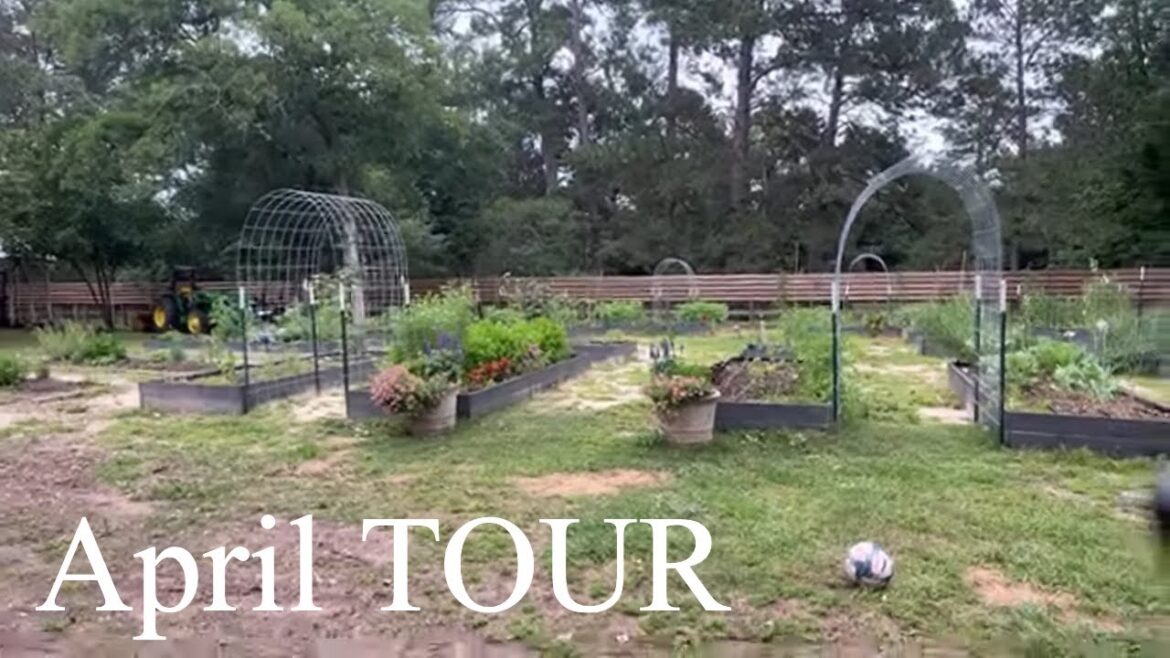 April TOUR – Vegetable Garden April TOUR - Vegetable Garden