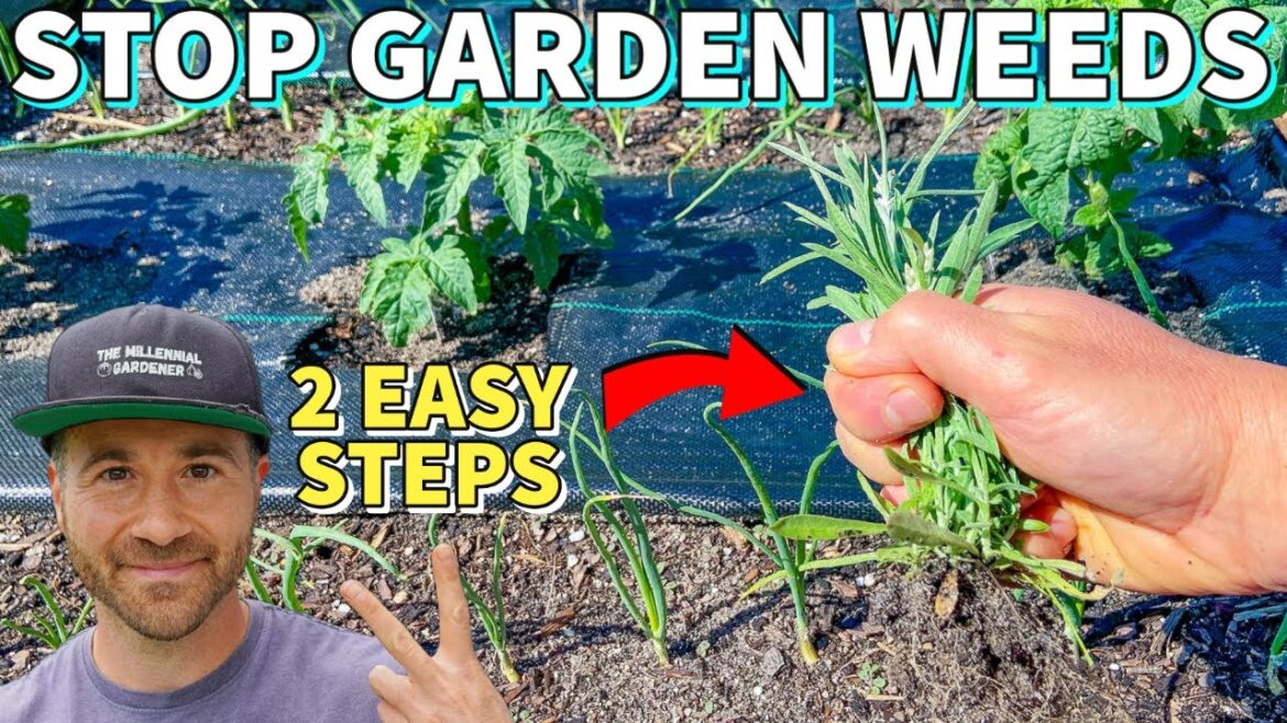 Make Your Garden WEED FREE FOREVER In 2 Easy Steps! Make Your Garden WEED FREE FOREVER In 2 Easy Steps!