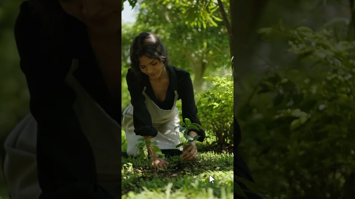 Beginner's Guide to Gardening: How to Start Your Own Garden from Scratch