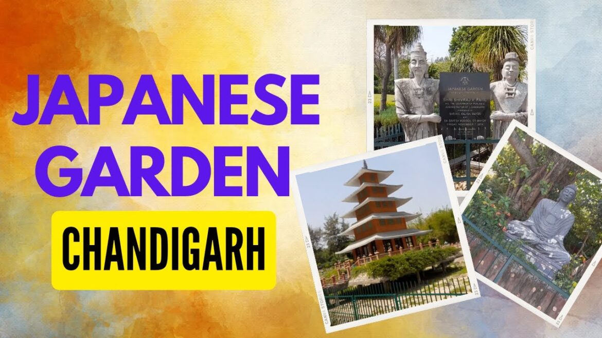 Japanese Garden Chandigarh l Tourist place Chandigarh