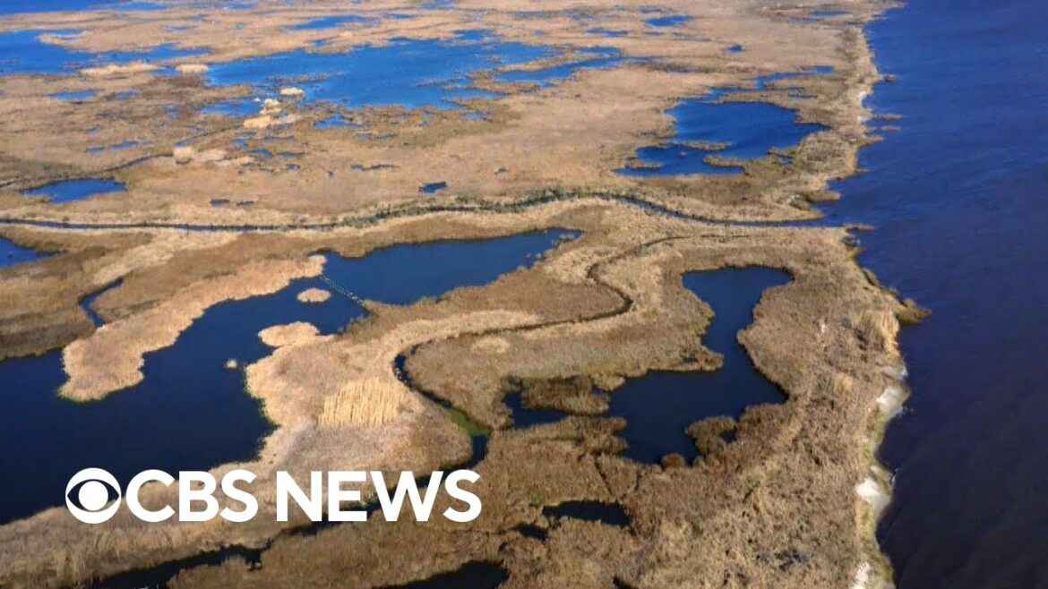Clean water access, a coastal restoration project and more | Eye on America