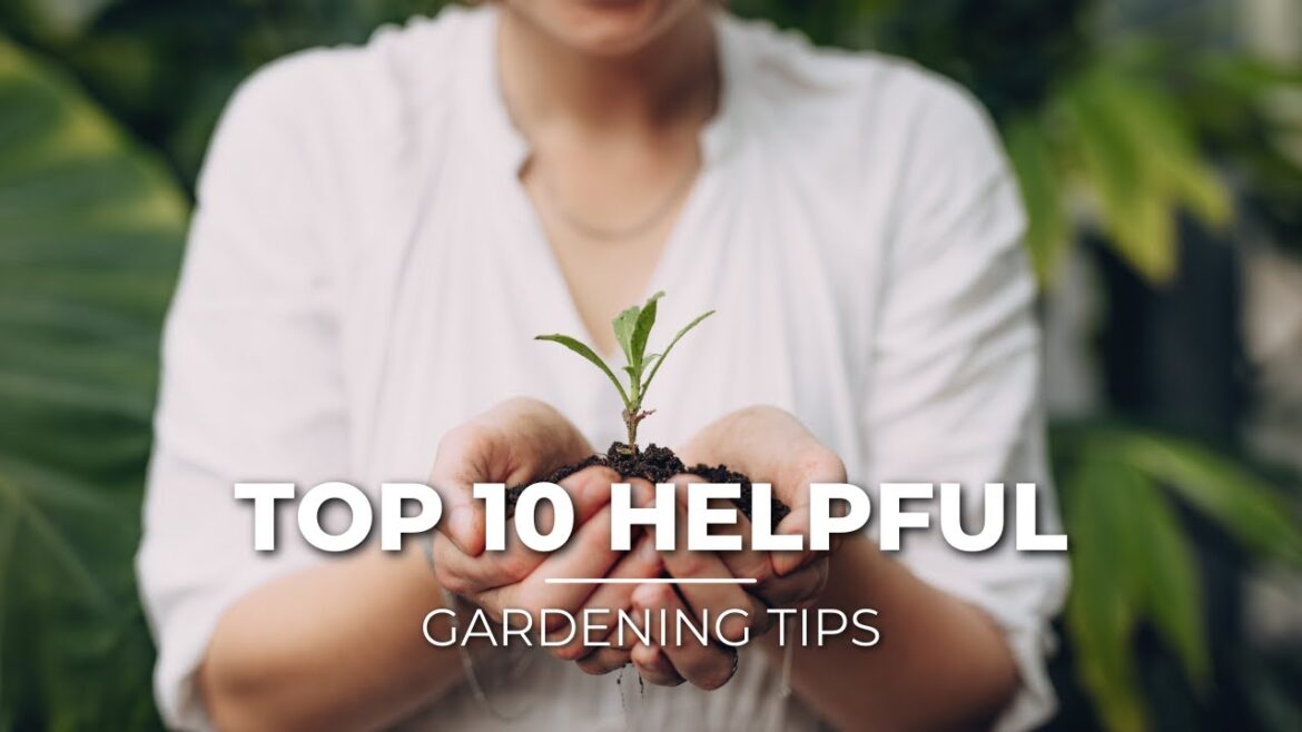 Top 10 Helpful Gardening Tips -Garden Tips🍅