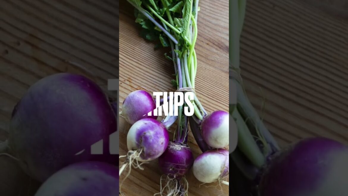 Root Vegetables to Plant in March #shorts #garden #gardening