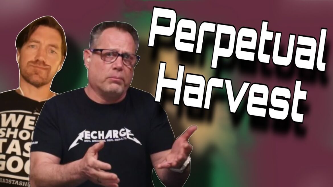 Perpetual Harvest in 2023