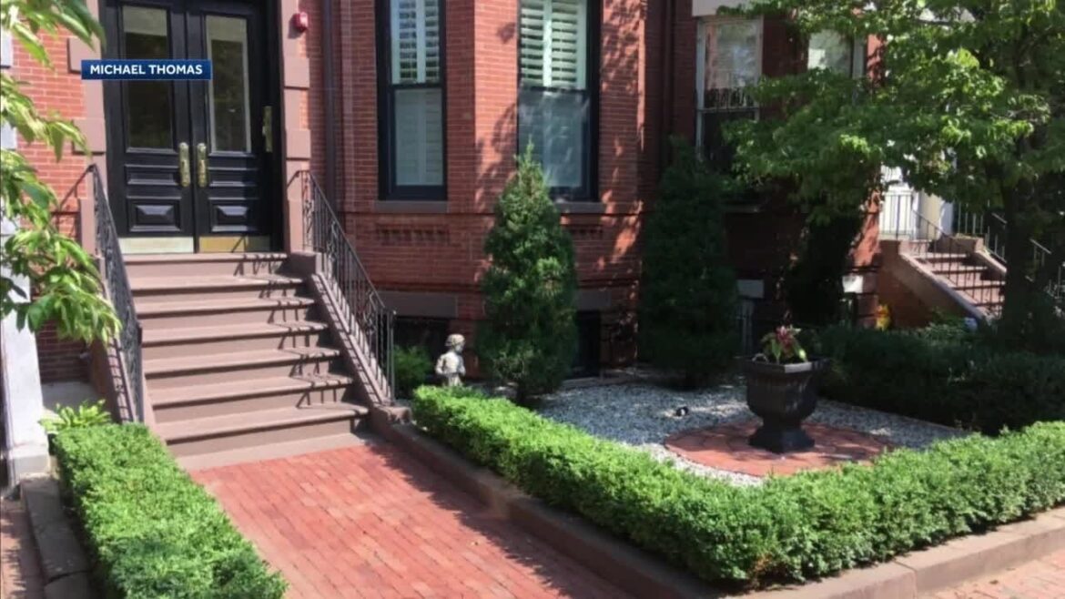 The Urban Gardener shares his tips for Spring The Urban Gardener shares his tips for Spring