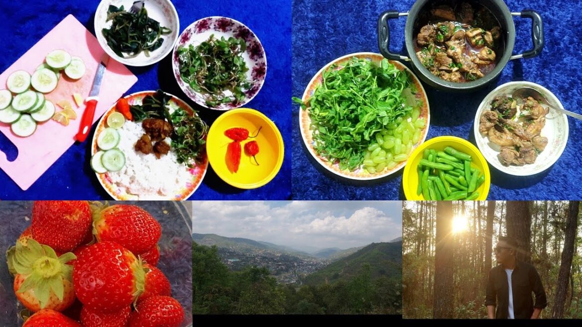 Visiting my Small Forest Garden & treated a huge plate of delicious, nutrient-rich green vegetables. Visiting my Small Forest Garden & treated a huge plate of delicious, nutrient-rich green vegetables.