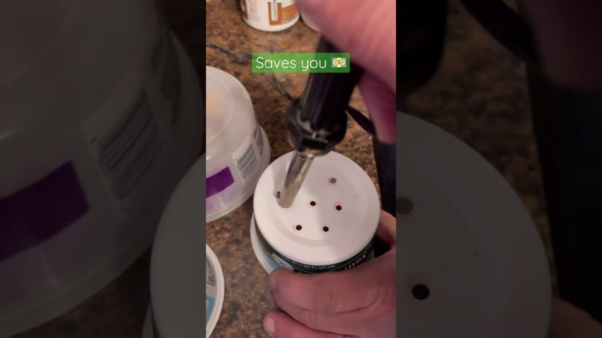 Homesteading Hack: Recycle Containers for Seedlings #shorts #seedlings #gardening