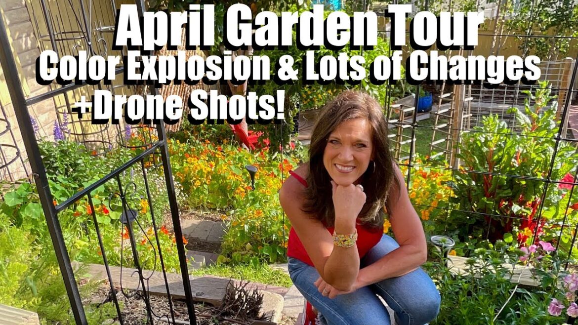 CaliKim: April Garden Tour – Color Explosion & Lots of Changes in the Garden + Drone Shots! April Garden Tour - Color Explosion & Lots of Changes in the Garden + Drone Shots!