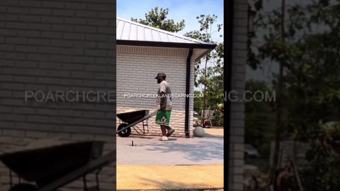 Watch This Garden Transform Before Your Eyes! Watch This Garden Transform Before Your Eyes!