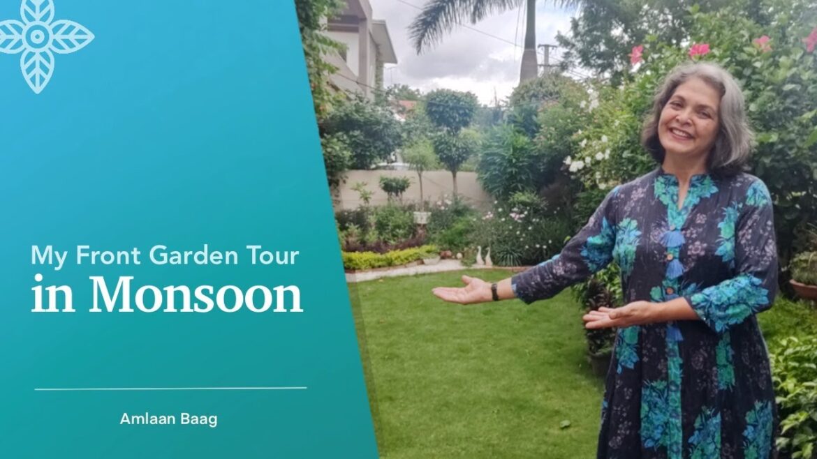 My Garden Tour In Monsoon | Front Garden With Landscape & Creative Gardening Ideas