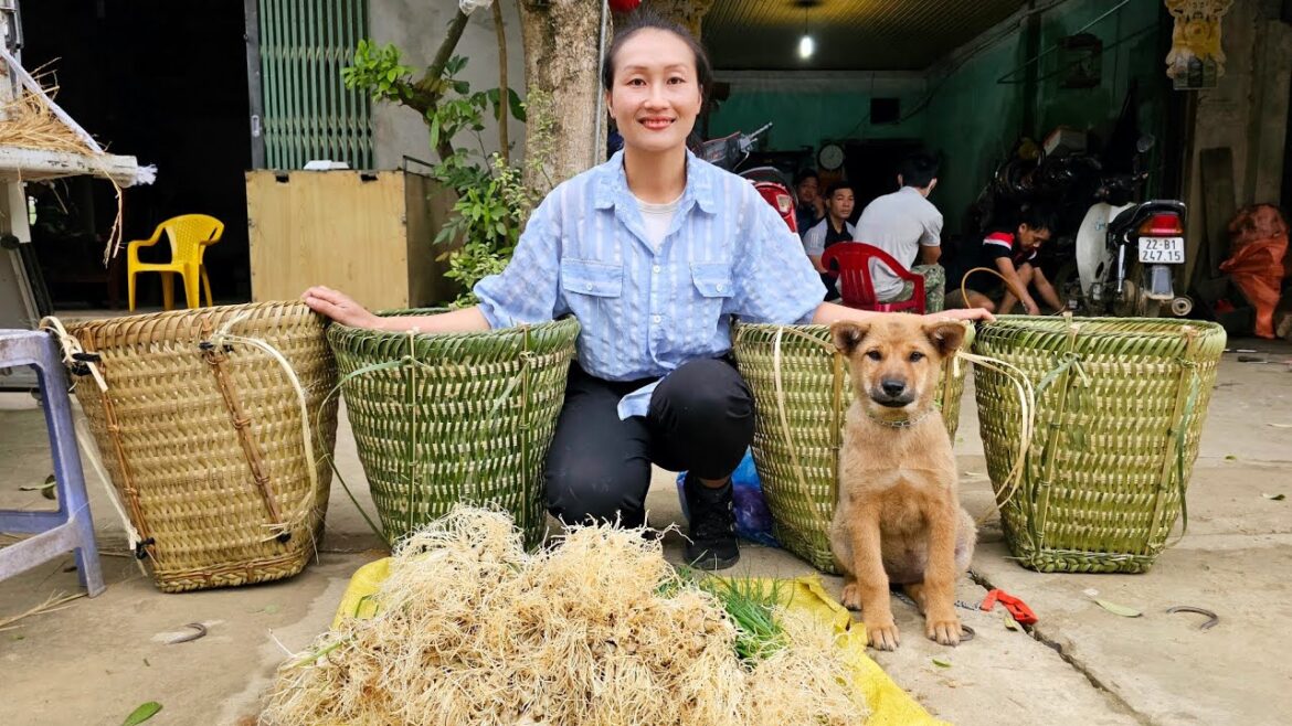 Bamboo basket weaving process | Harvest vegetable gardens goes to market sell | Ly Thi Tam