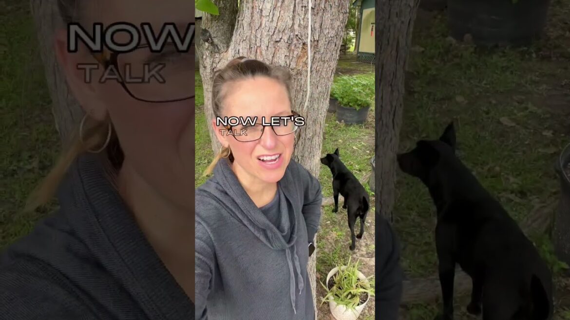 The Pros And Cons Of Container Gardening π±π² #shorts #containergardening #gardening The Pros And Cons Of Container Gardening π±π² #shorts #containergardening #gardening