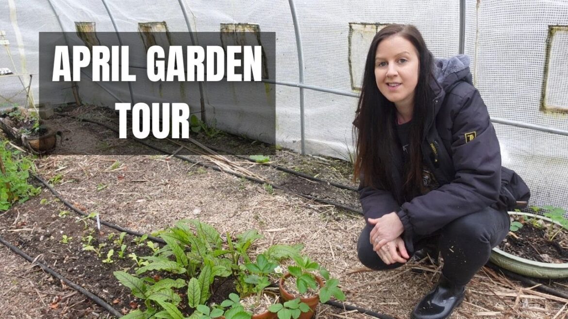 April Polytunnel & Greenhouse Tour