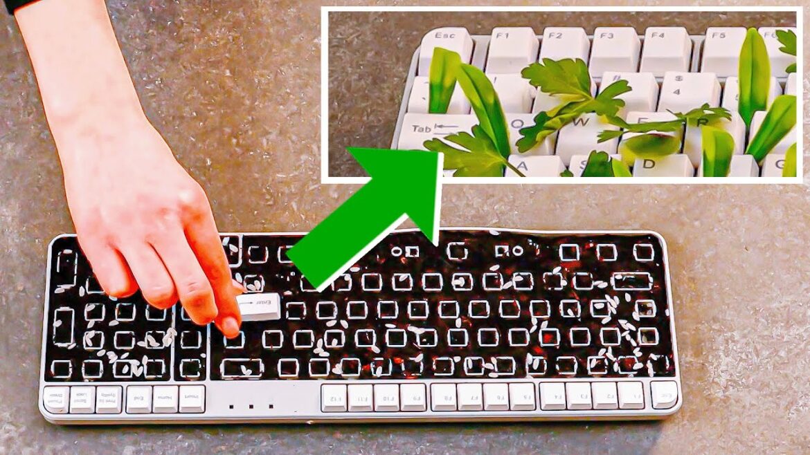 11 Excellent Plant Tricks That Every Home Gardener Needs To Know!