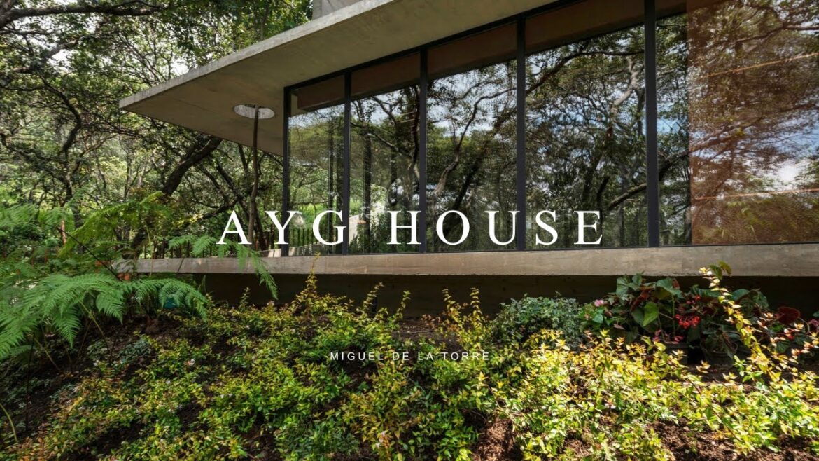 House Design Considering Vegetation And A Variety Of Very Large Trees that surround it House Design Considering Vegetation And A Variety Of Very Large Trees that surround it