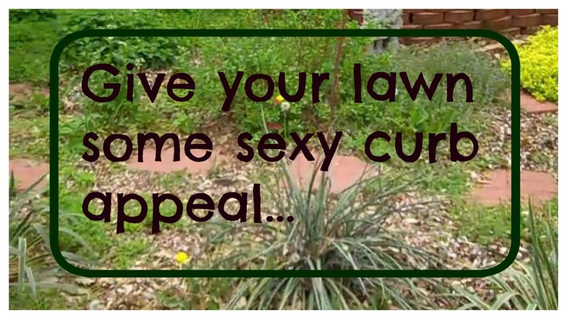 Get Rid Of Your Lawn! Our Front Yard Garden Design