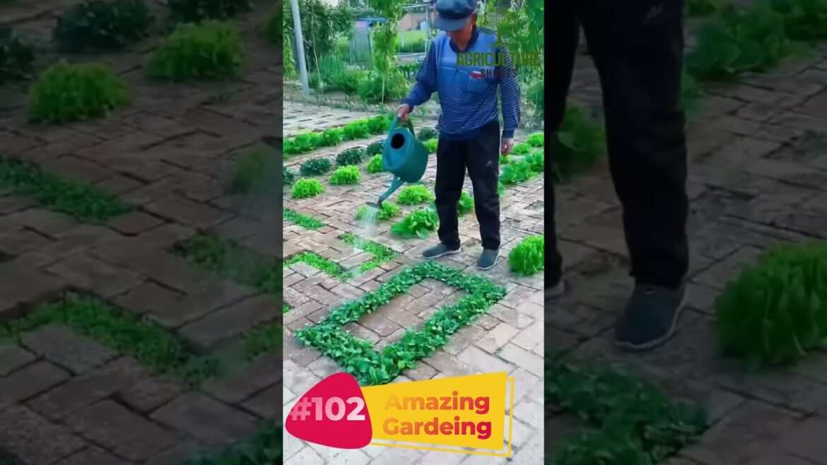 Amazing DIYs for Your Garden Transformation #DIYGardenProjects #AmazingGardening #GardeningHacks Amazing DIYs for Your Garden Transformation #DIYGardenProjects #AmazingGardening #GardeningHacks