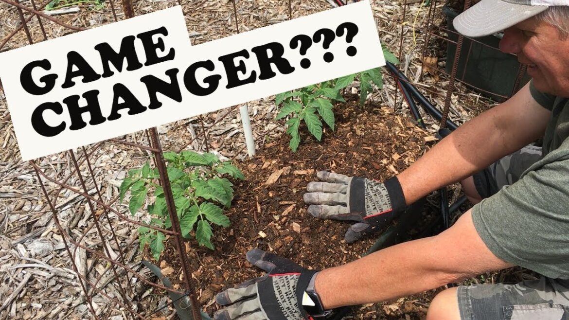 THIS COULD CHANGE CONTAINER GARDENING FOREVER #wickingtubs #earthboxes #mulchinggardencontainers THIS COULD CHANGE CONTAINER GARDENING FOREVER #wickingtubs #earthboxes #mulchinggardencontainers