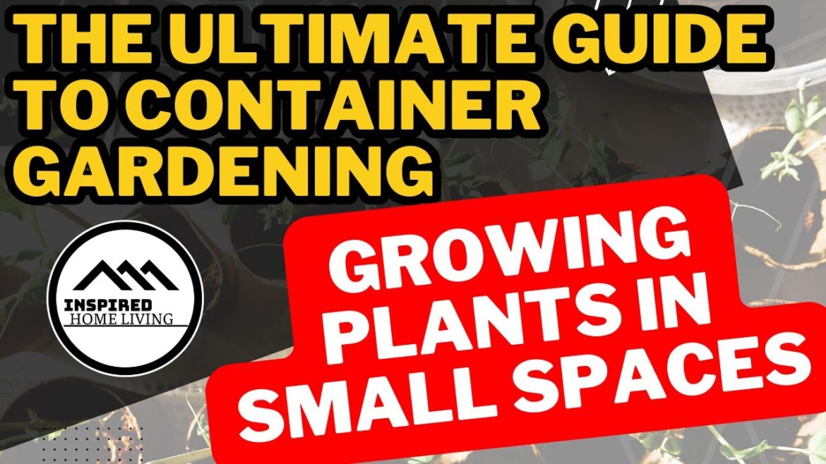 The Ultimate Guide to Container Gardening: Growing Plants in Small Spaces The Ultimate Guide to Container Gardening: Growing Plants in Small Spaces