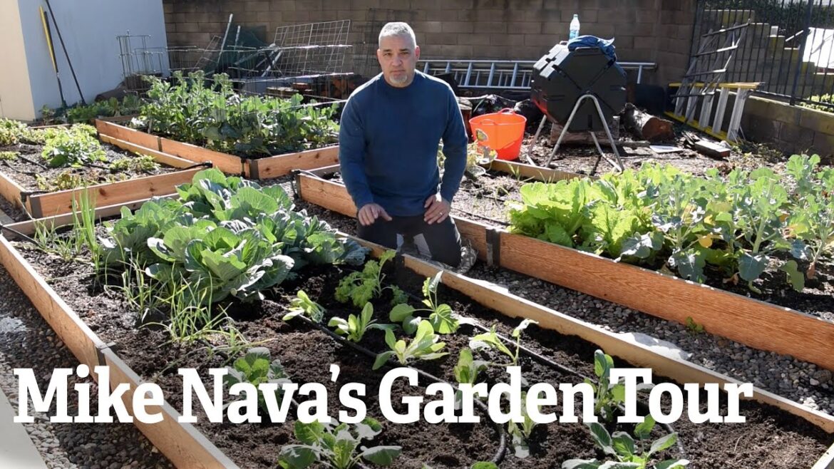 Mike Nava's Garden Tour