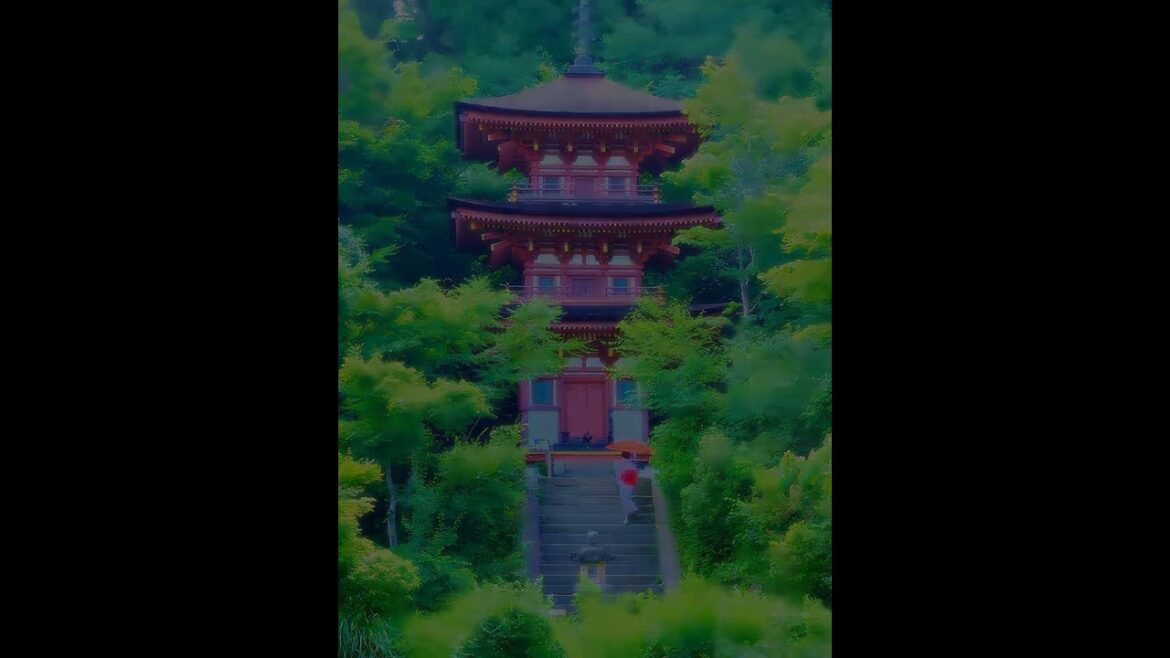 【Japanese Landscape】#shorts #Japan #kyoto #temple #garden
