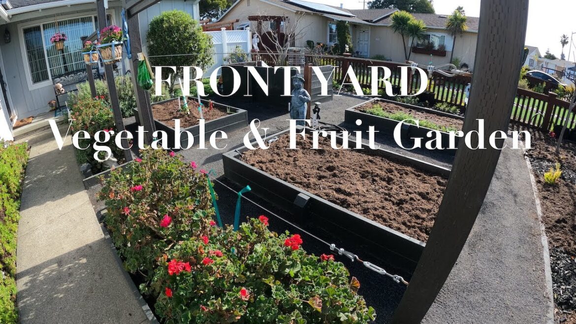 FRONT YARD Fruit & Vegetable Garden – Getting ready for springtime. FRONT YARD Fruit & Vegetable Garden - Getting ready for springtime.