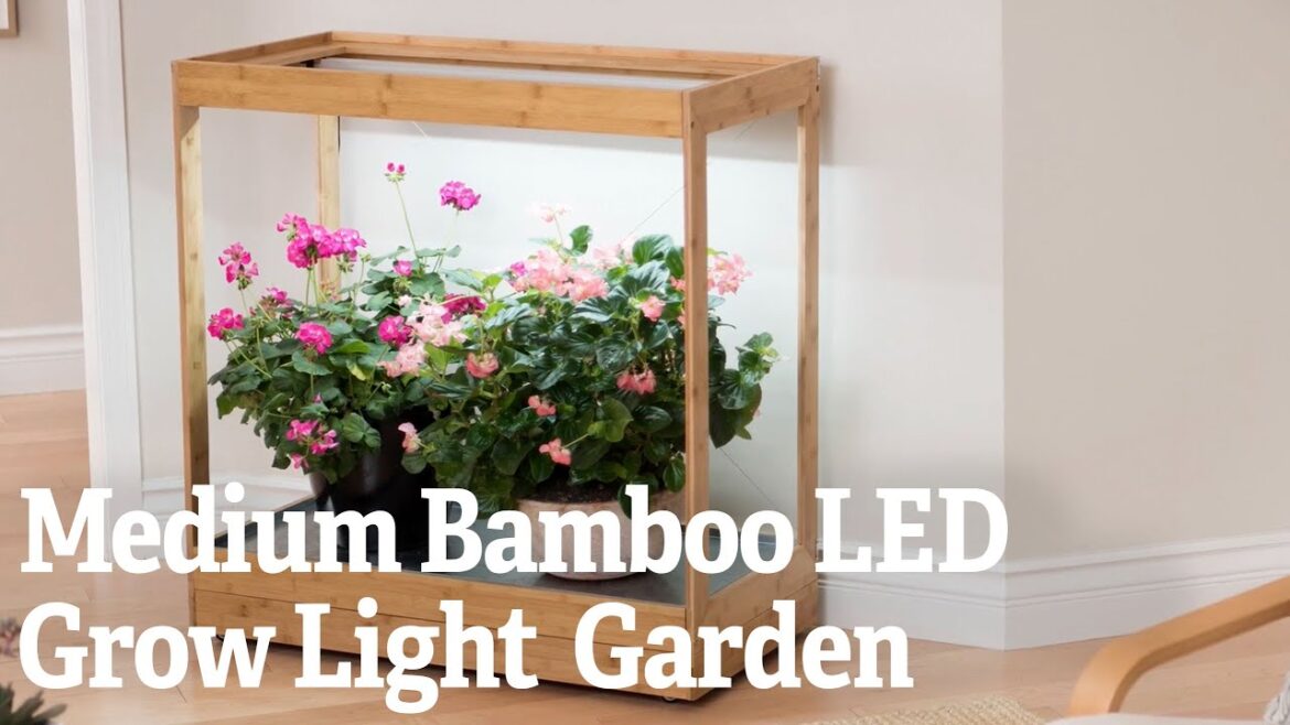 Medium Bamboo LED Grow Light Garden