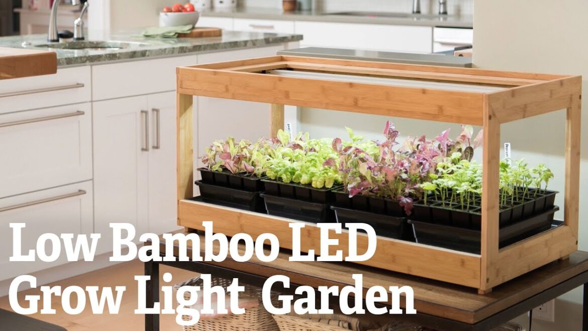 Low Bamboo LED Grow Light Garden