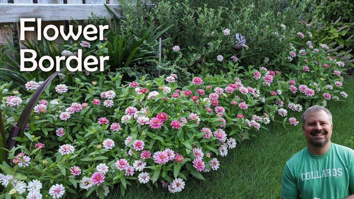 Budget Pollinator Flower Border Budget Pollinator Flower Border