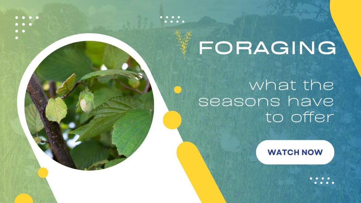 How to Forage for Wild Edibles in Your Own Backyard How to Forage for Wild Edibles in Your Own Backyard