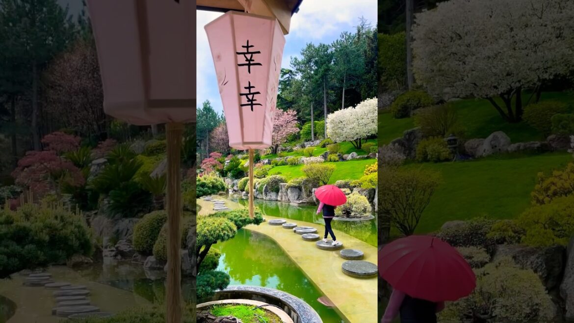 Вы НЕ ПОВЕРИТЕ, но ЭТО КРЫМ! Японский сад #крым #партенит #паркайвазовское #отдыхвкрыму
