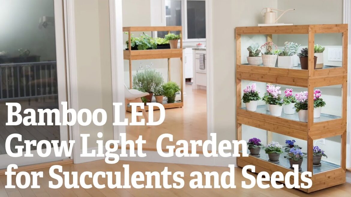 Bamboo LED Grow Light Garden for Succulents and Seeds Bamboo LED Grow Light Garden for Succulents and Seeds
