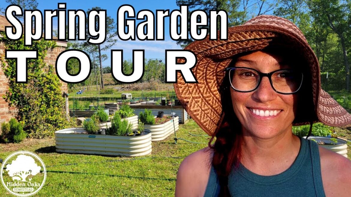 Spring Garden Tour 2023 | Florida Panhandle 8B | What are we growing?