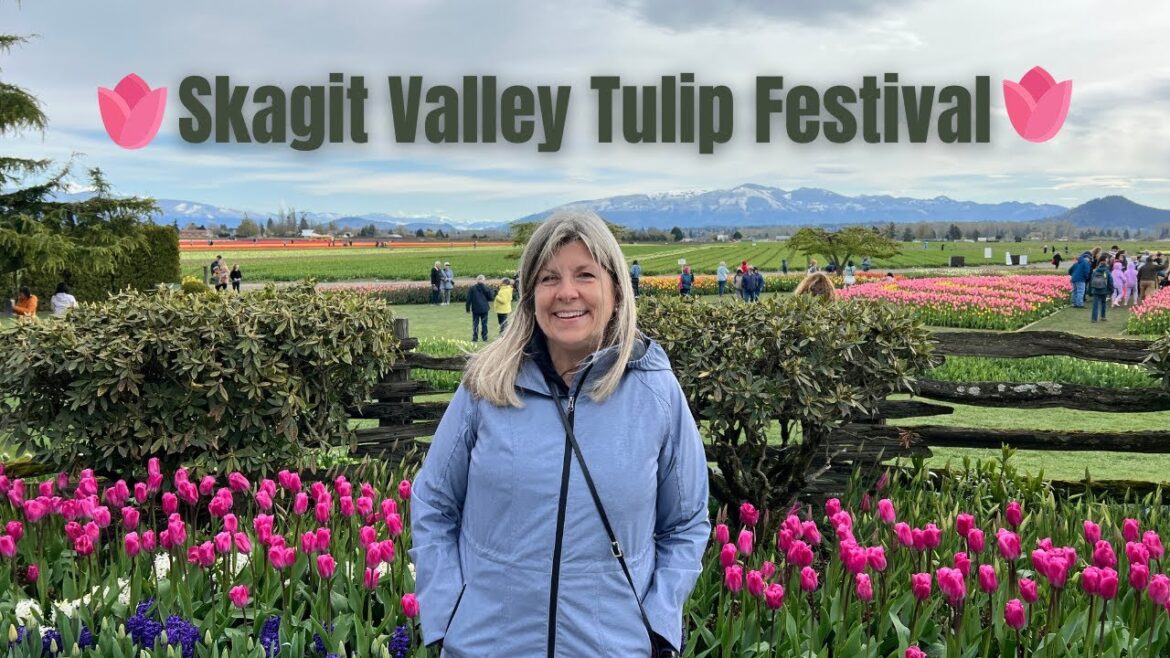 🌷 Skagit Valley Tulip Festival! 🌷 🌷 Skagit Valley Tulip Festival! 🌷