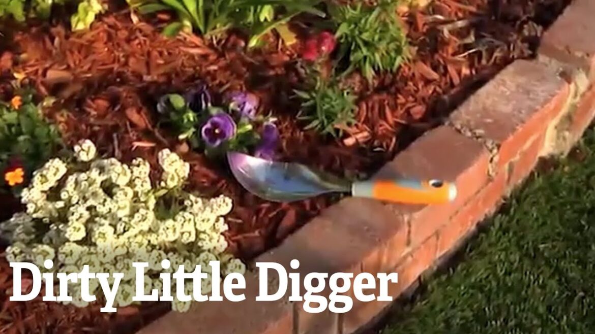 Dirty Little Digger